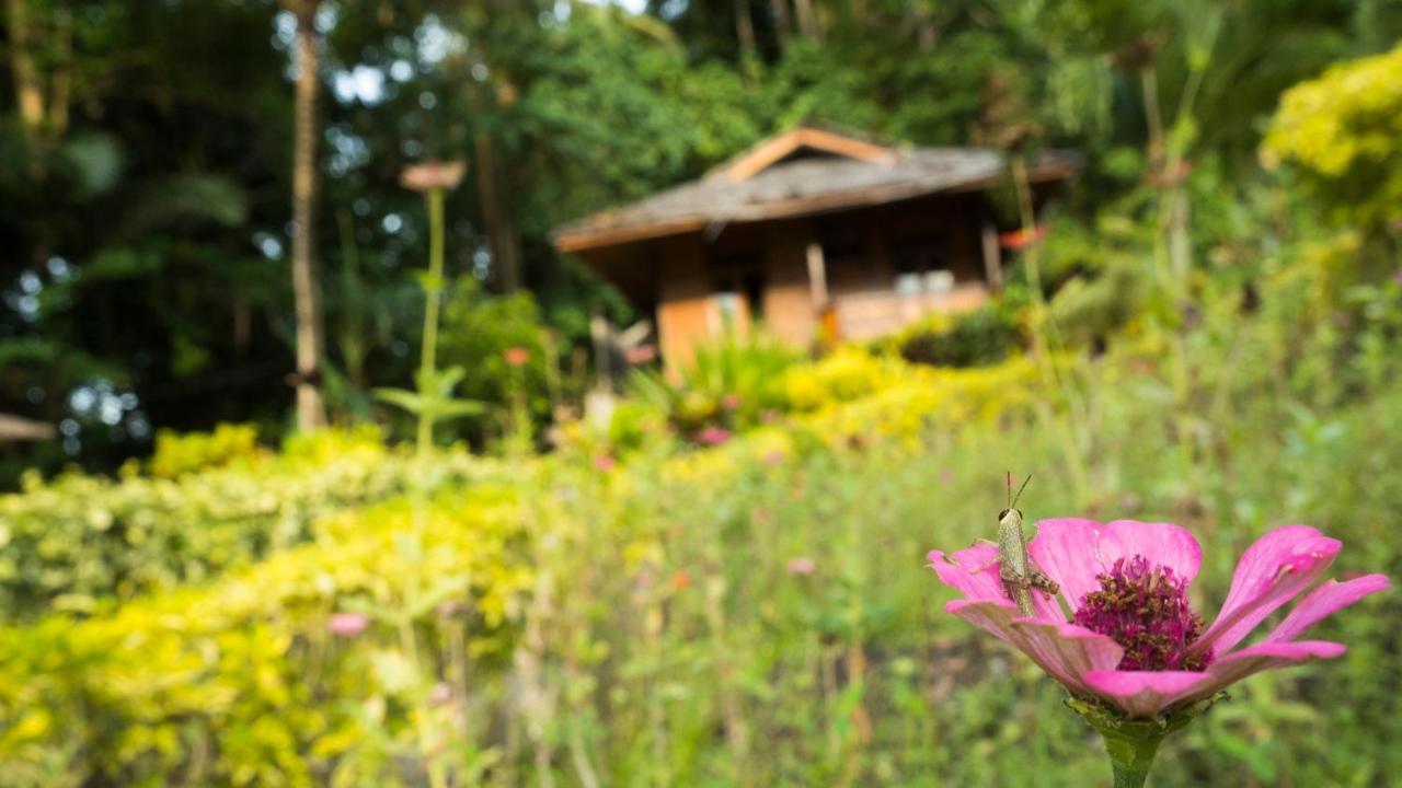 K2 Lembeh Dive Resort Bitung Экстерьер фото