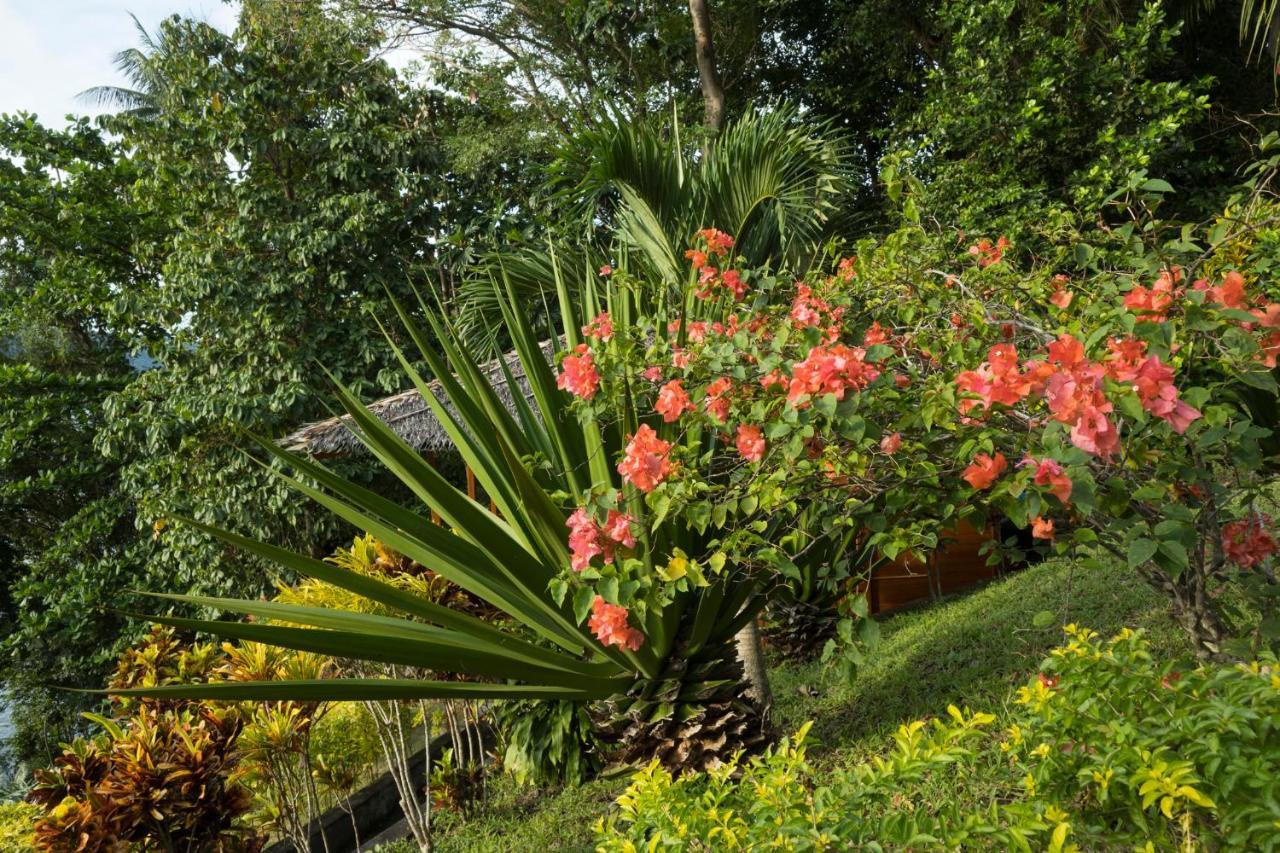 K2 Lembeh Dive Resort Bitung Экстерьер фото